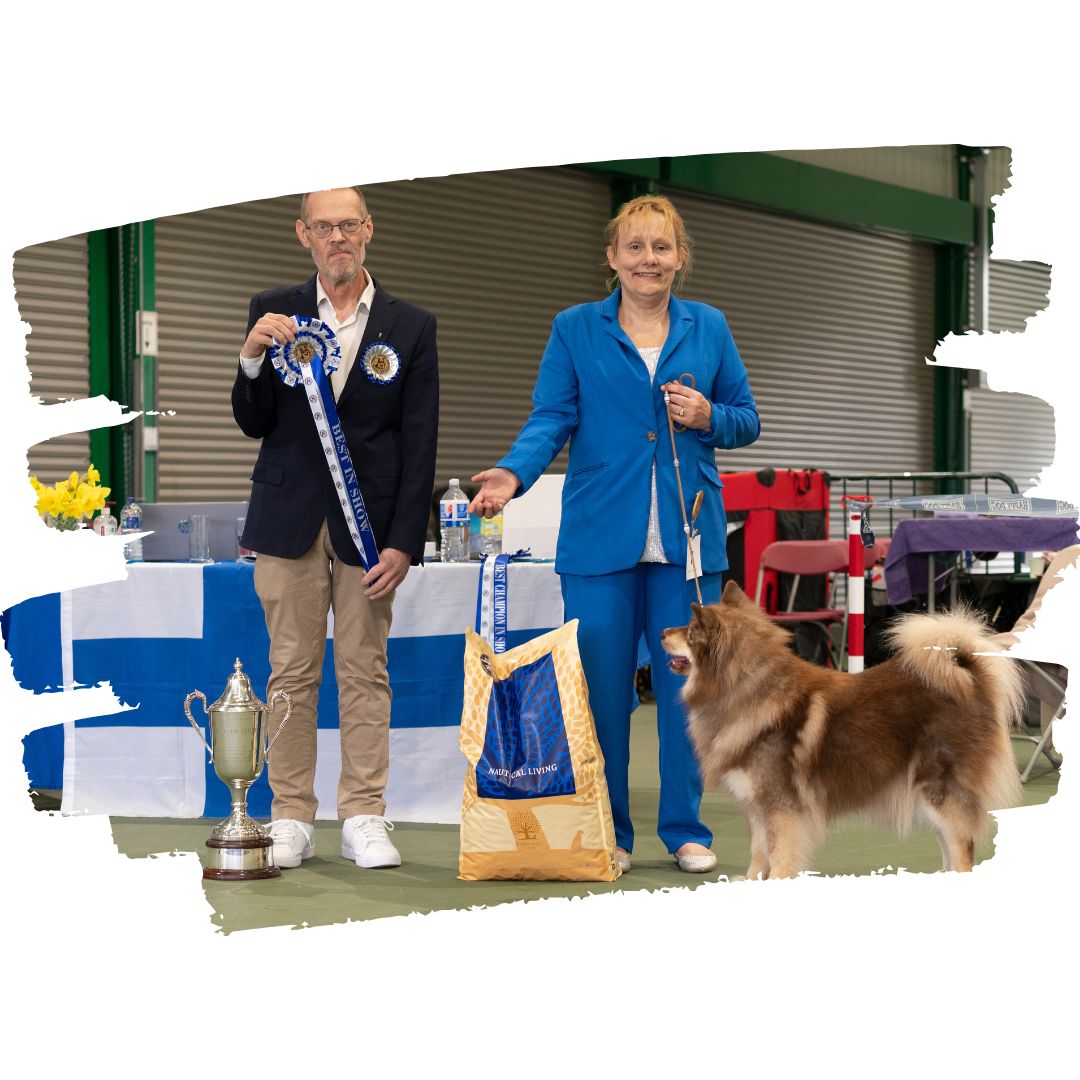 Results and Critiques of our 18th Breed Championship Show – Judge Mats Jonsson [Sweden]